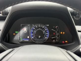 Lexus UX 250h Preference Line picture 20