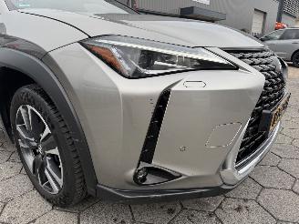 Lexus UX 250h Preference Line picture 4