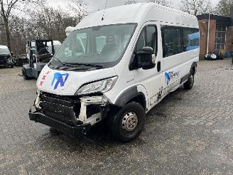 Coche accidentado Fiat Ducato 2.3 MAXI PKW 9 PERSOONS  PLUS INVALIDE LIFT. 2018/9