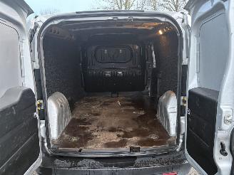 Fiat Doblo 1.3 MultiJet MAXI L2 NIEUWE APK MARGE picture 9