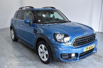 Auto incidentate Mini Countryman ONE 2018/9