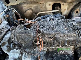 Fiat 500C 500C (312), Cabrio, 2009 1.0 Hybrid picture 13