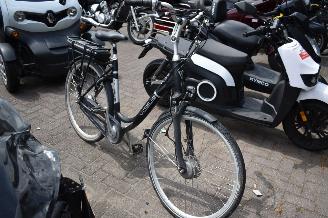 krockskadad bil fiets VOGUE Premium  2024/5