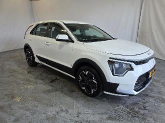  Kia e-Niro Light 64.8 kWh 2024/12
