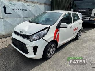  Kia Picanto Picanto (JA), Hatchback, 2017 1.0 DPi 12V 2020/9