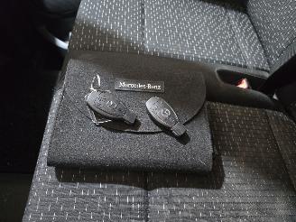 Mercedes Vito 114 CDI Extra Lang picture 32