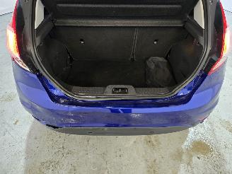 Ford Fiesta 1.0 EcoBoost Titanium picture 15