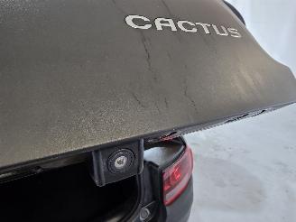 Citroën C4 cactus 1.2 PureTech Shine picture 20