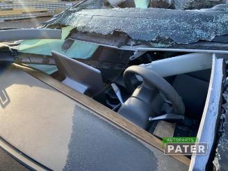 Tesla Model Y Model Y (5YJY), SUV, 2019 RWD picture 6