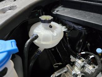 BYD  Atto 2 picture 12