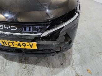 BYD  Atto 2 picture 11