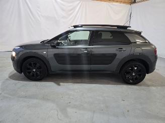 Citroën C4 cactus 1.2 PureTech Shine picture 4