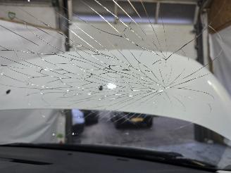 Opel Vivaro 2.0 CDTI L3H1 Edition picture 21