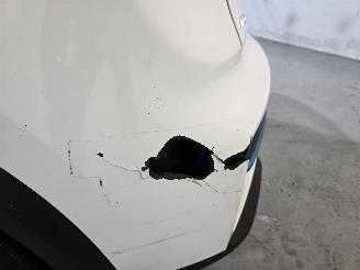 Kia e-Niro ExecutiveLine 64 kWh picture 9