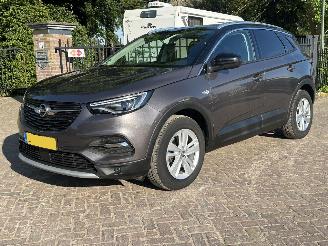 occasione autovettura Opel Grandland X  1.2 Turbo Innovation 2019/3