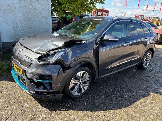 Avarii autoturisme Kia e-Niro Clima/leer/pdc/navi 2020/1