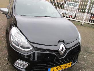 Renault Clio 0.9 Tce Iconic picture 14