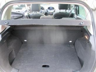 Ford B-Max 1.0 EcoBoost Titanium picture 23