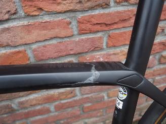 Trek  Domane picture 5