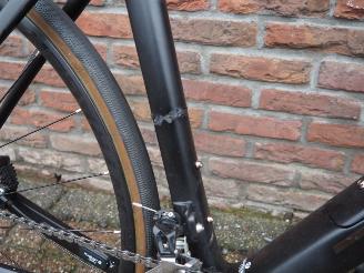 Trek  Domane picture 10