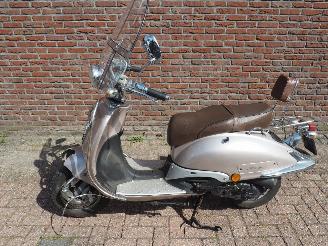 skadebil bromfiets Overige  Rover Classic 2009/6