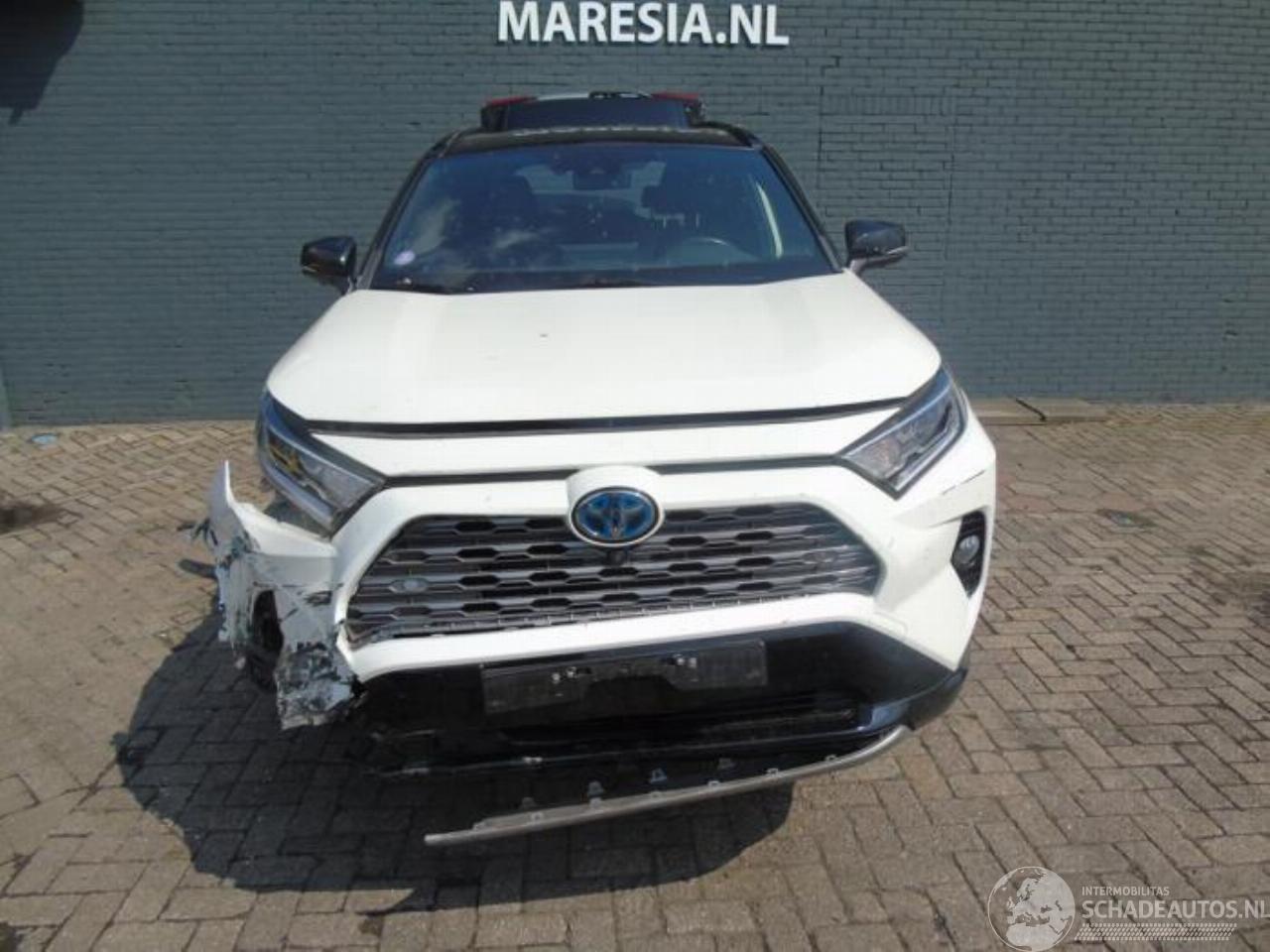 Toyota Rav-4 RAV4 (A5), Terreinwagen, 2018 2.5 Hybrid 16V AWD