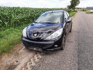 Auto da rottamare Peugeot 206+  2010/1