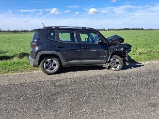rozbiórka samochody osobowe Jeep Renegade  2017/1