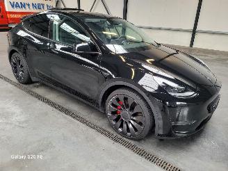 Vaurioauto  passenger cars Tesla Model Y Performance 393-KW Automaat AWD 2024/12