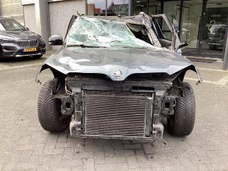 Skoda Yeti Yeti (5LAC), SUV, 2009 / 2017 1.4 TSI 16V picture 2