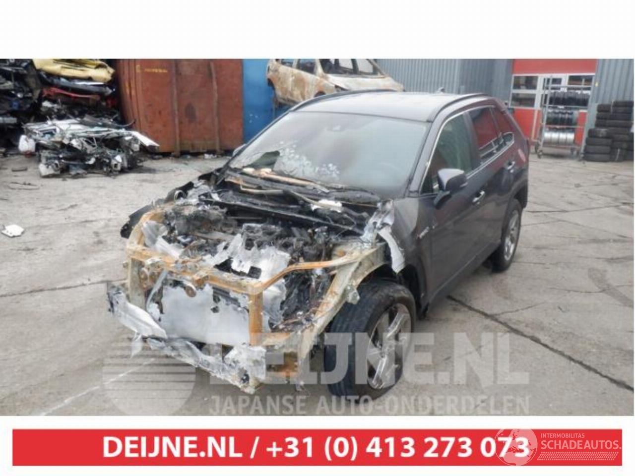 Toyota Rav-4 RAV4 (A5), Terreinwagen, 2018 2.5 Hybrid 16V AWD