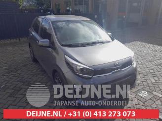 Avarii autoturisme Kia Picanto Picanto (JA), Hatchback, 2017 1.0 DPi 12V 2020/11