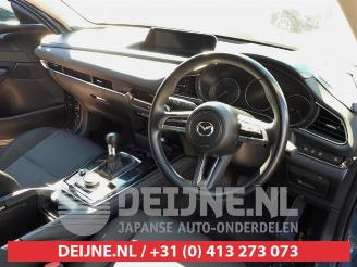 Mazda CX-30 CX-30 (DM), SUV, 2019 2.0 e-SkyActiv-G 122 16V picture 18