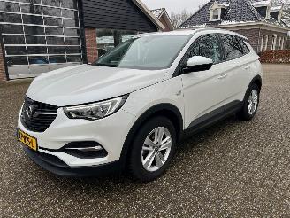 škoda osobní automobily Opel Grandland 1.2 Turbo Business + 2019/3