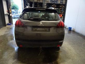Peugeot 2008 1.2 THP picture 2
