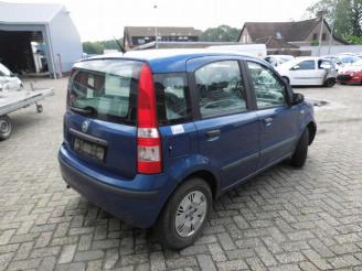 Fiat Panda  picture 6