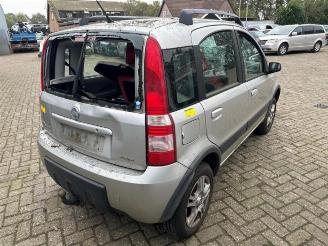 Fiat Panda Panda (169), Hatchback, 2003 / 2013 1.3 JTD 16V Multijet 4x4 picture 7