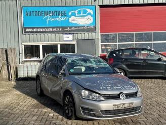 Volkswagen Golf Golf VII (AUA), Hatchback, 2012 / 2021 1.6 TDI 16V picture 1