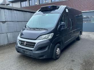 danneggiata veicoli industriali Magirus Deutz  Ducato 2.3 2.3 130 Koelwagen 2019/2