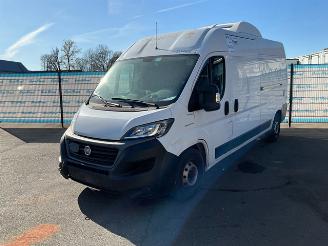 bruktbiler bedrijf Fiat Ducato 2.3 2.3 160 Koel-vrieswagen 2021/7