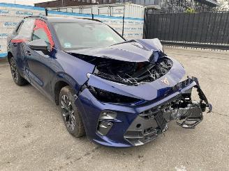 Seat Terra CUPRA Terramar 1.5 e-Hybrid 150kW picture 14