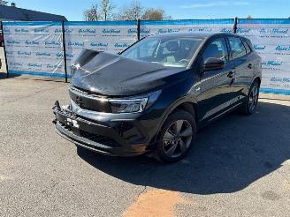 Unfallwagen Opel Grandland (X) 1.2 Turbo (96kW) GS 2024/1