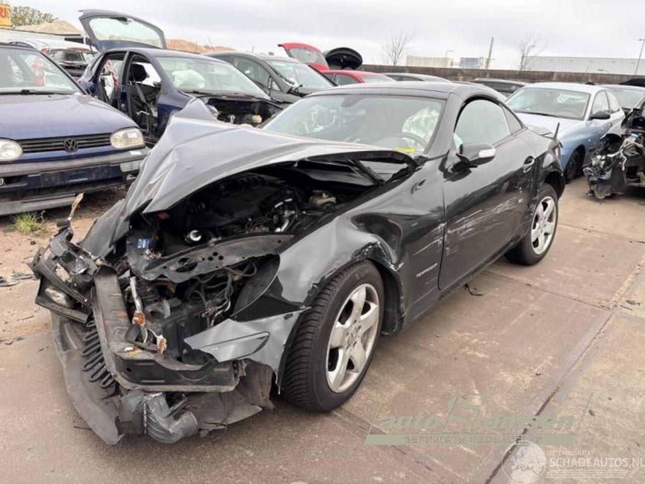 Mercedes SLK SLK (R171), Cabrio, 2004 / 2011 1.8 200 K 16V