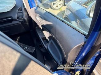 Ford EcoSport EcoSport (JK8), SUV, 2013 1.0 EcoBoost 12V 125 picture 17