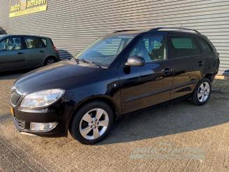 Skoda Fabia Fabia II Combi, Combi 5-drs, 2007 / 2015 1.2 TSI picture 2