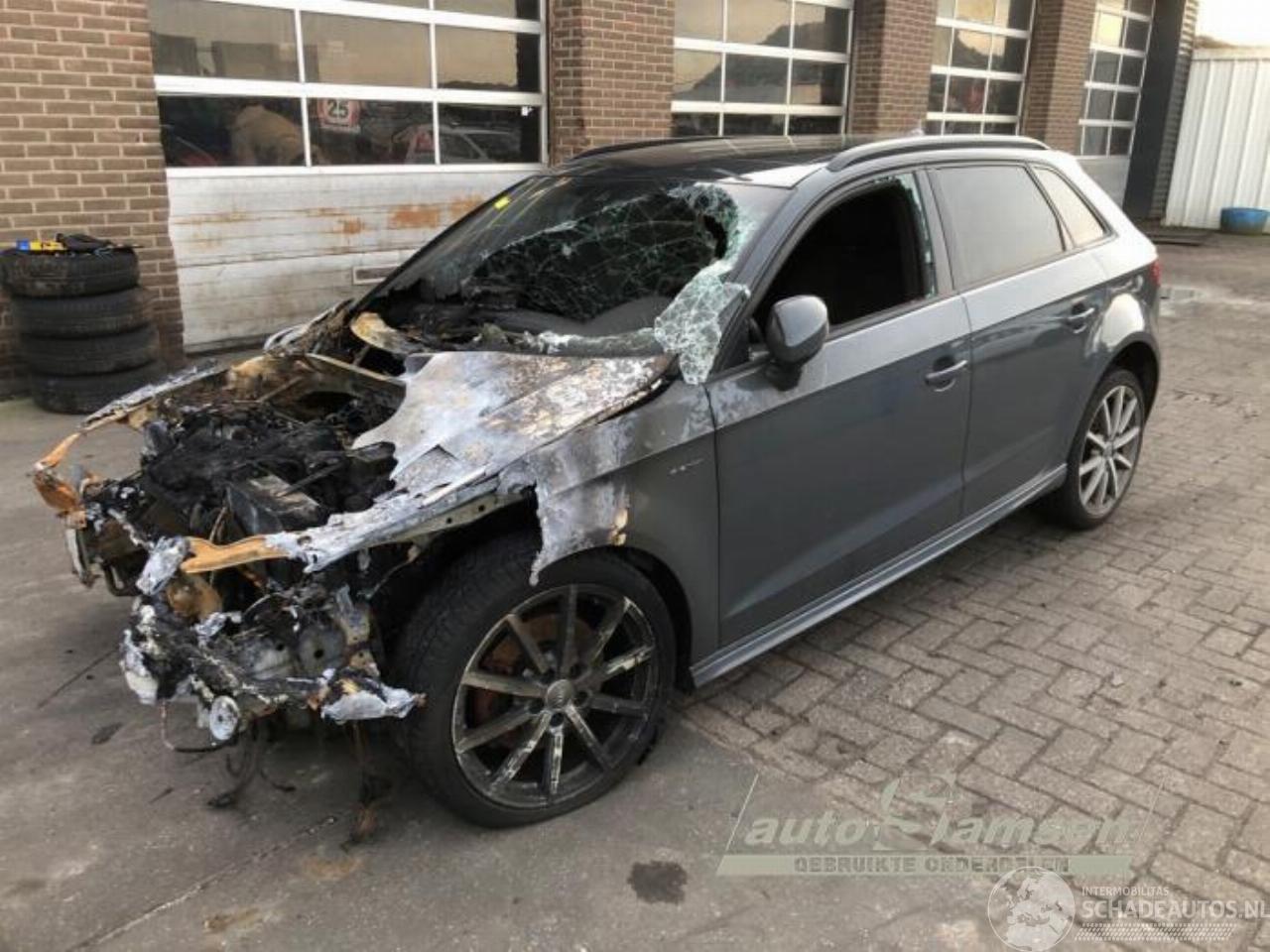 Audi A3 A3 Sportback (8VA/8VF), Hatchback 5-drs, 2012 / 2020 1.4 TFSI 16V e-tron
