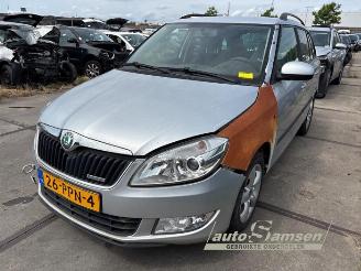  Skoda Fabia Fabia II Combi, Combi 5-drs, 2007 / 2014 1.2 TDI 12V Greenline 2011/3