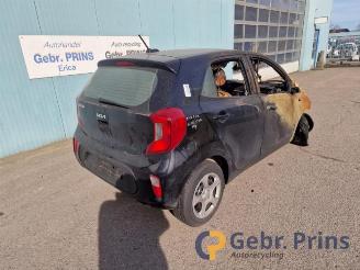 Kia Picanto Picanto (JA), Hatchback, 2017 1.0 DPi 12V picture 2