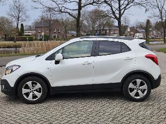 Opel Mokka 1.4 Turbo 16V 4x2 SUV  Benzine 1.364cc 103kW (140pk) FWD picture 7