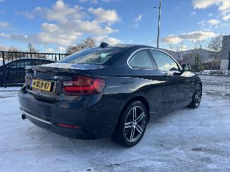 BMW  220i High Executive picture 13